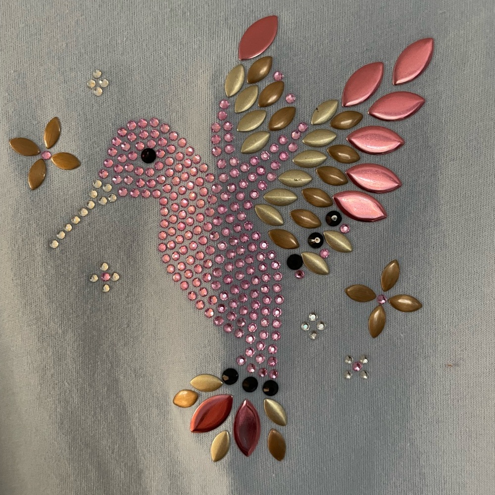 Hummingbird T-shirt NWOT